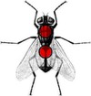 Picture for song 'Fluga Mot Fonstret' by artist 'DirtyLarry'