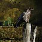 Picture for song '24' by artist 'Diszaray'