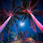 Picture for song '*NEW*Latin Heat South Beach.' by artist 'Dj Katfish'