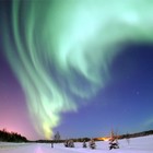 Picture for song 'Dreamin'' by artist 'dj LF'