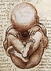 Picture for song 'Foetus Whore' by artist 'DJ Loudanov'