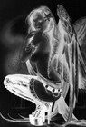 Picture for song 'Lincoln Bells' by artist 'DJ WyldStyle'