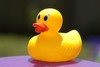 Picture for song 'Ducktoy 2006 (Hardstyle mix)' by artist 'DJ Yerac'