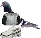 Picture for song 'Terreur in je eur' by artist 'DNZ Coma Vigil and The Dark Alliance'