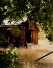 Picture for song 'Dusty Road' by artist 'Donovan Plant'