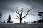 Picture for song 'Dark Thoughts **BANGER**HIT**DARK** FREE DOWNLOAD*' by artist 'Dougie The Producer'