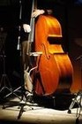 Picture for song 'MAKE MINE A DOUBLE - BASS' by artist 'Dr. Bob's Jazz - Benefit Boppin' Quartet - JBBQ'