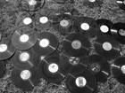 Picture for song 'Sweep Guitar (white label mix)' by artist 'Dream Drummer'