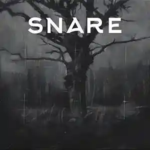 Picture for song 'Snare (Hard Dark Freestyle Type Beat)' by artist 'DRUG RICH'