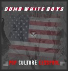 Picture for song 'Caliphonia acoustic' by artist 'Dumb White Boys'