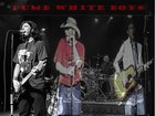 Picture for song 'Ring of Fire' by artist 'Dumb White Boys'