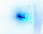 Picture for song 'dunket' by artist 'D X M digital experimental music'