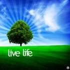 Picture for song 'live life' by artist 'Echoes of Life'