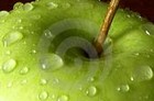 Picture for song 'think as we' by artist 'EDENS APPLE'