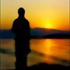 Picture for song 'In My Arms' by artist 'Emotive Touch'
