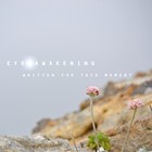 Picture for song 'Written For This Moment' by artist 'Eye Awakening'