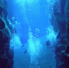 Picture for song 'No More Oxygen' by artist 'FiElD RecOrDs'