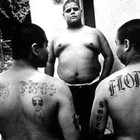Picture for song '*NEW* Don'tCrossTheBorder ($50 EXCLUSIVE RIGHTS)' by artist 'FIFTYDOLLARHITZ'
