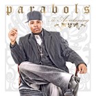 Picture for song 'WHAT I AM - Parabols' by artist 'Flavor Radio Network'
