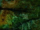 Picture for song 'I am free' by artist 'ForeverGrasping'