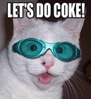 Picture for song 'Kandy Filled Kitten Kingdom' by artist 'FrigginGlorious'
