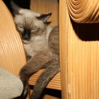 Picture for song 'Eternal Slumber' by artist 'Fritz Diorico'