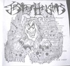 Picture for song '9-Jester Heights-The Enrapturing Process' by artist 'FROZEN METAL THUNDER 1'