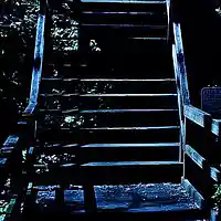 Picture for song 'walking up the stairway at night' by artist 'Gail And Charlie Davis'