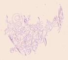 Picture for song 'Tapestry' by artist 'Gangster Computer God'