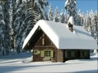 Picture for song 'New Christmas' by artist 'Gary Carlson'