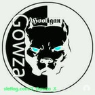 Picture for song 'GoosSos-Hardcore tottet Bot' by artist 'Goossos'