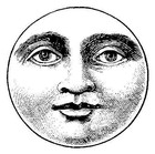 Picture for song 'Goodnight, Angelique' by artist 'Grace Andreacchi'