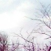 Picture for song 'Overnight winter tale' by artist 'greenminstrey'