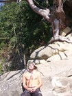 Picture for song 'UP UP AND AWAY' by artist 'GREENWORKZ'