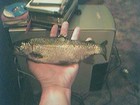 Picture for song 'Fish Untill Your Face Turns Blue(remix)' by artist 'Guitar Jim Cunningham'