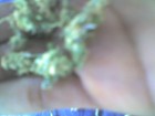 Picture for song 'JUST RIDIN' by artist 'GUNNA GANG 2GZ'