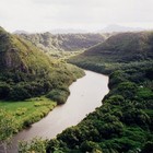 Picture for song 'Girl From The North Country' by artist 'hank49'