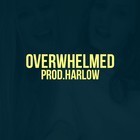 Picture for song 'Overwhelmed' by artist 'Harlow Beats'