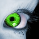 Picture for song 'ENVY'S GRIP' by artist 'Headroom Productions'