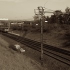 cover pic