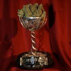 Picture for song '**NEW**Kush w/Hook (FREE DOWNLOAD)' by artist 'Hit7Beatz.com'