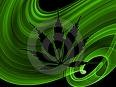 Picture for song 'Clear My Mind' by artist 'HitMakers Blvd.'