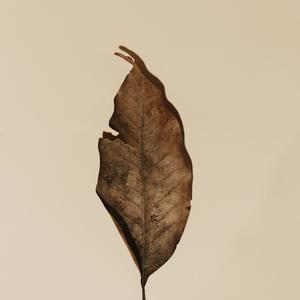 Picture for song 'Tekno miles Type Beat _ Instrumental Far' by artist 'Hitmaker Tk2'