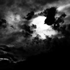 Picture for song 'NOWHERE TO RUN' by artist 'HOLLYWOOD LEGEND PRODUCTIONS'