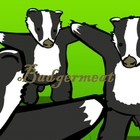 Picture for song 'Girl Talk ala Badger' by artist 'Hoodwinks D T'
