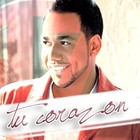 Picture for song '::: HZBEATS ::: tu corazon::: bachata ::: NEW' by artist 'HzBeat'
