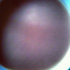 Picture for song 'Egg Sandwich and a Cup of Tea' by artist 'Ian Haygreen'