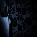 Picture for song 'In the Quiet of the Night' by artist 'Ian Haygreen'