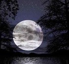 Picture for song 'Melancholic' by artist 'Icy-Fingaz'