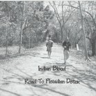 Picture for song 'Central Bell Coralation' by artist 'Indian Blood'